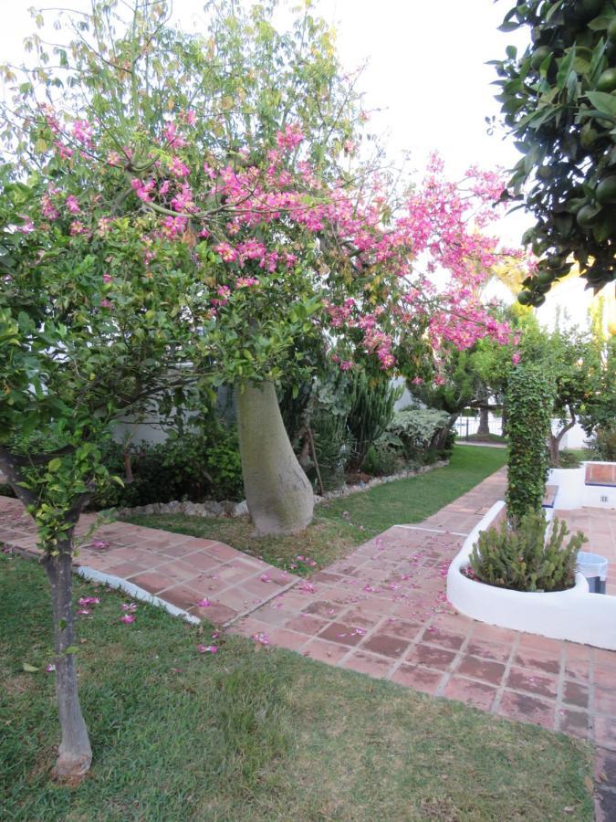 Apartamento Bien Situado En Marbella Eksteriør bilde