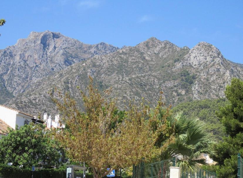 Apartamento Bien Situado En Marbella Eksteriør bilde